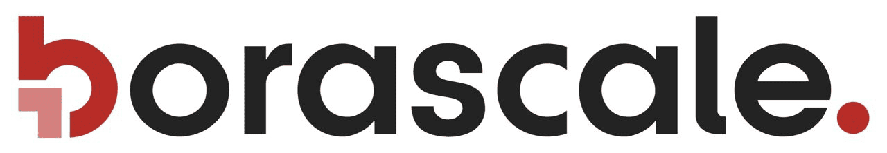 LOGO BORASCALE